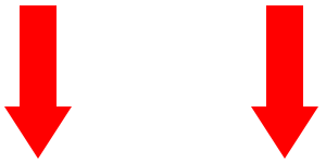 دو فلش4