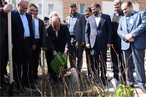 ۴۰۰ هزار اصله نهال در مدارس و فضاهای عمومی گیلان غرس می شود